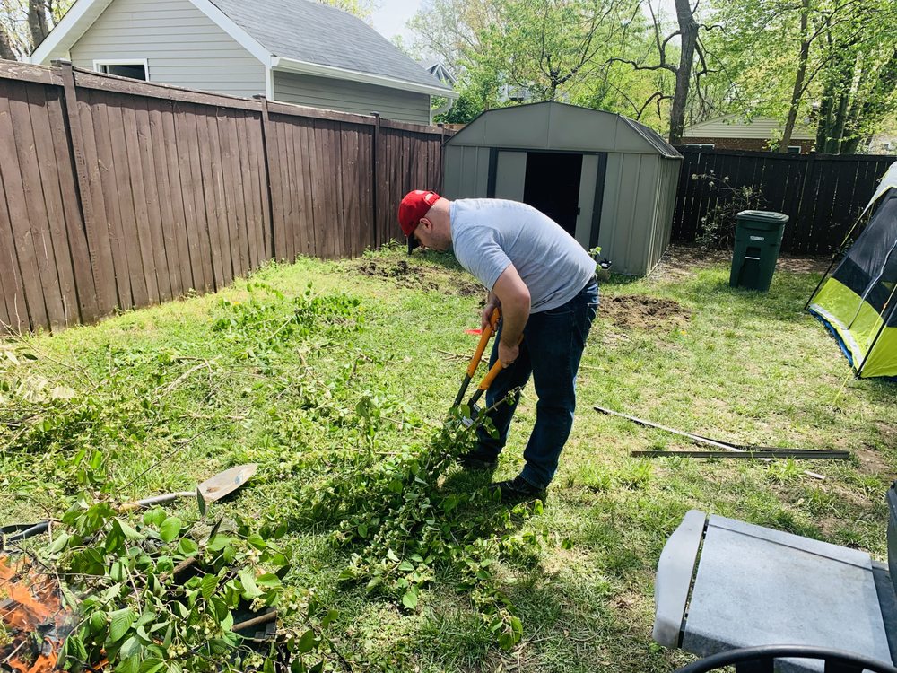 Root Removal