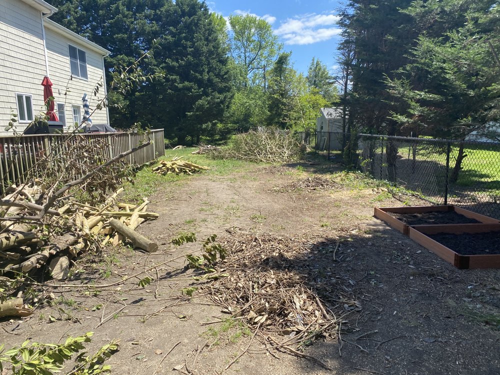 Tree Removal